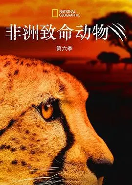 非洲致命动物第五季