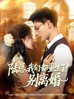 陆总我们都重生了别离婚