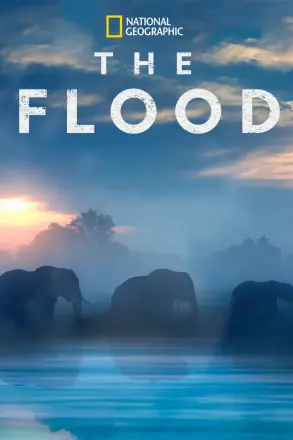 洪水