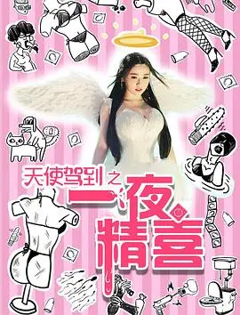 天使驾到之一夜精喜(2016)