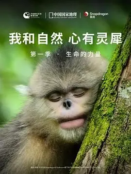 我和自然心有灵犀生命的力量