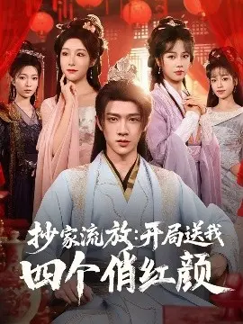 抄家流放开局送我四个俏红颜