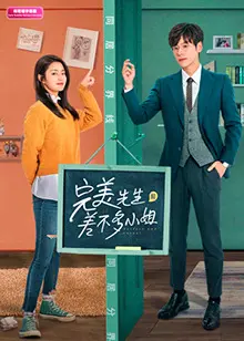 完美先生和差不多小姐印尼语字幕版