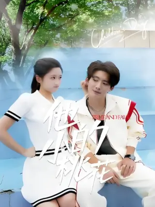 他的小桃花