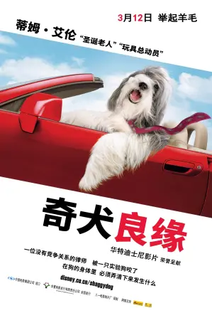 长毛狗