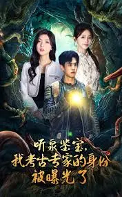 听泉鉴宝，我考古专家的身份被曝光了
