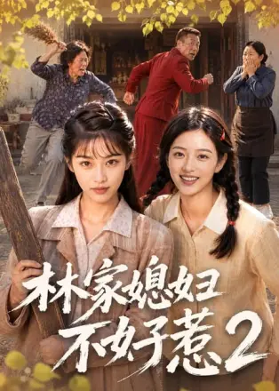 林家媳妇不好惹2