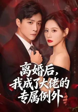 离婚后，我成了大佬的专属例外