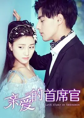 亲爱的首席官(2019)