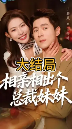 相亲相出个总裁妹妹