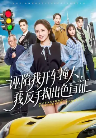 诬陷我开车撞人,我反手掏出色盲