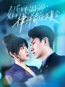 婚情漫漫,律师前任求复合
