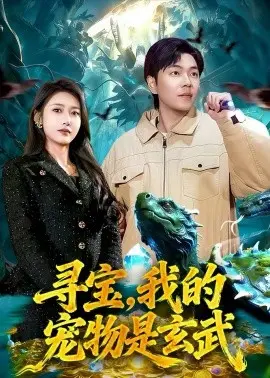 寻宝，我的宠物是玄武