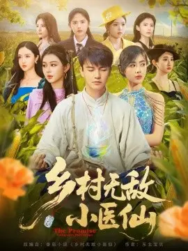 乡村无敌小医仙