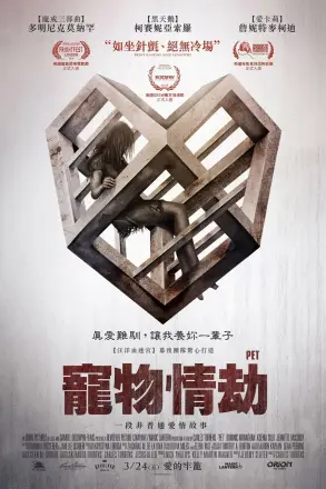 爱宠