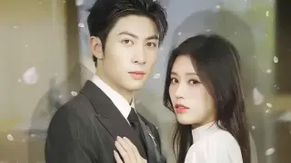 顾总你轻点