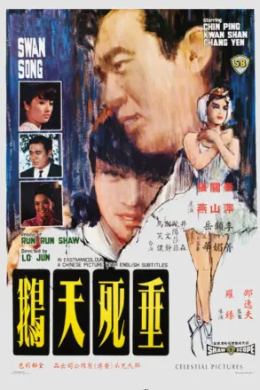 垂死天鹅