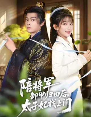 陪将军卸甲归田后，太子妃找上门