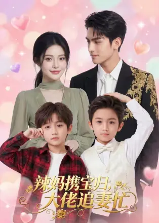 辣妈携宝归，大佬追妻忙