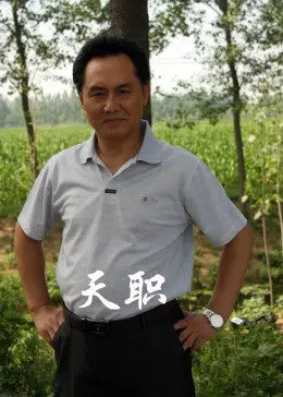 天职(2012)