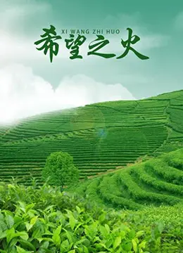 希望之火
