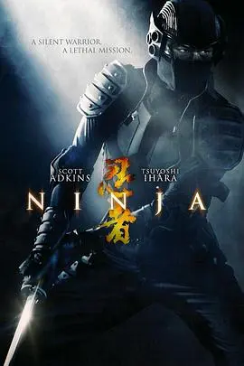 纽约行动(2009)