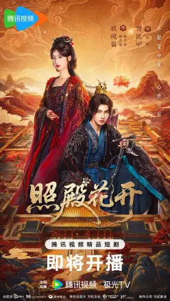 照殿花开