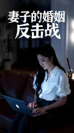 妻子的婚姻反击战