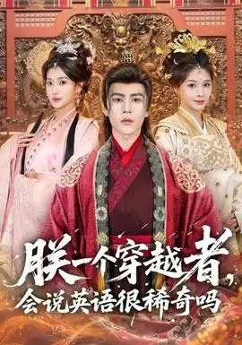 朕一个穿越者会说很稀奇吗(2025)