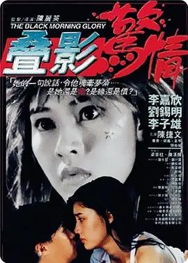 叠影惊情(1993)