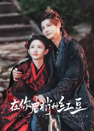 在你眉梢种红豆 速看版