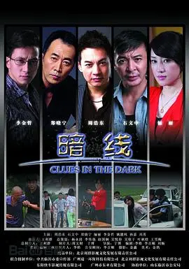 暗线(2012)