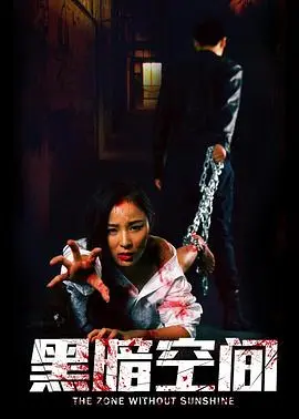 黑暗空间(2017)