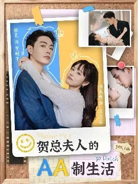 贺总夫人的AA制生活