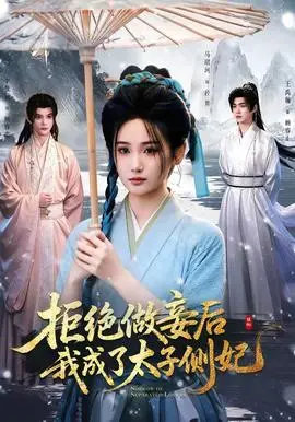 拒绝做妾后我成了太子侧妃（一纸离人愁）
