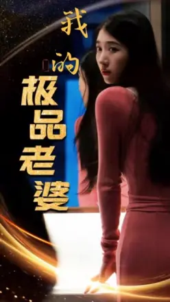 我的极品老婆第一季
