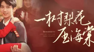 一树梨花压海棠（新：我在八零年代当后妈）