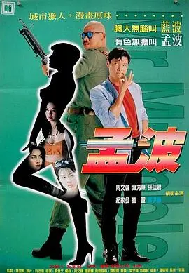 孟波(1996)