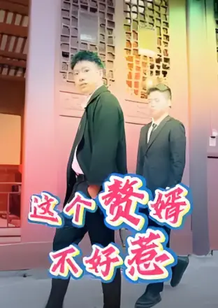 这个赘婿不好惹