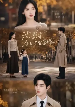 沈影帝,今日不宜复婚
