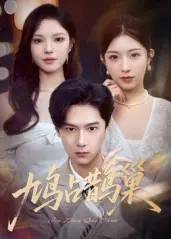 鸠占鹊巢 顶流夫人的致命陷阱