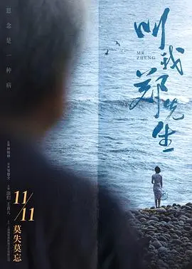 叫我郑先生(2022)
