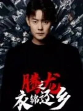 腾龙之衣锦还乡