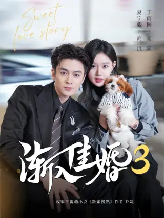 渐入佳婚3第三部