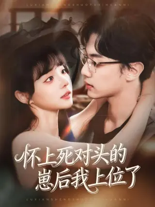 怀上死对头的崽后我上位了