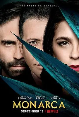 女当家(2019)