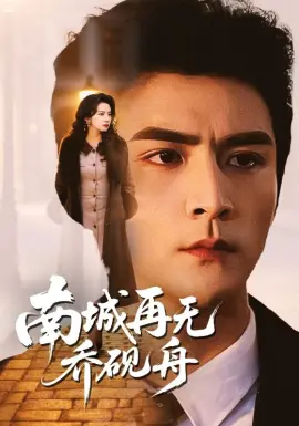 南城再无乔砚舟