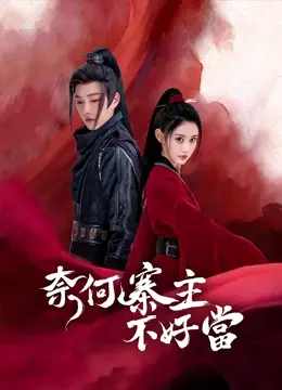 奈何寨主不好当(2023)