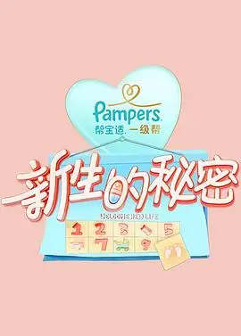 新生的秘密第二季