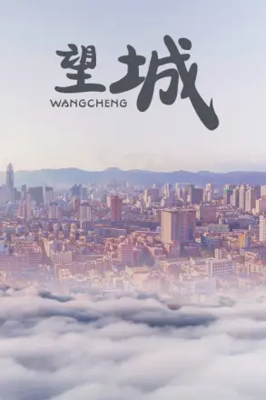 望城